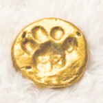 3D paw print