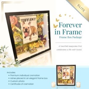 [ELITE] Frame Box Package